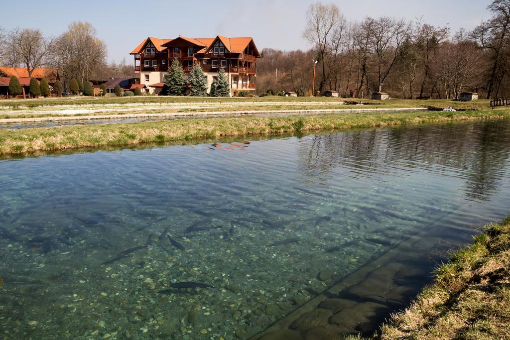 Complex Pastravaria Albota Arpaşu de Sus Exteriér fotografie